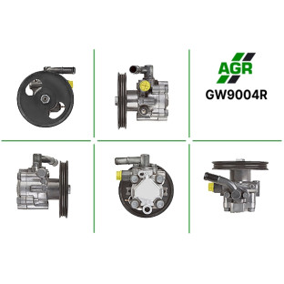 Power steering pump, restored, GW9004R