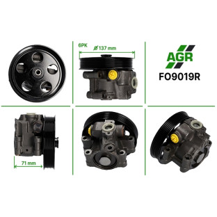 Power steering pump, restored, FO9019R