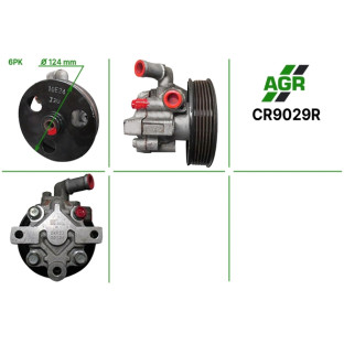 Power steering pump, restored, CR9029R