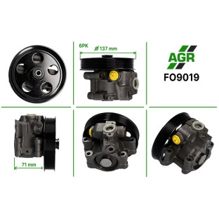 Power steering pump, new, FO9019